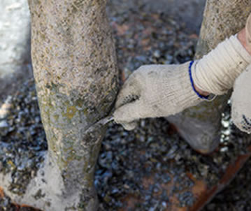 Entsalzung von Mauerwerk und Stein Skulpturen mit Entsalzungskompressen Entsalzung von Mauerwerk und Stein Skulpturen mit Entsalzungskompressen